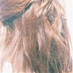 03767.jpg