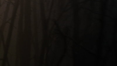 08627.jpg