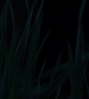 Filename=03993.jpg
Filesize=90KiB
Dimensions=1920x1080
Date added=Mar 24, 2022 03993.jpg