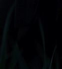 Filename=03994.jpg
Filesize=72KiB
Dimensions=1920x1080
Date added=Mar 24, 2022 03994.jpg
