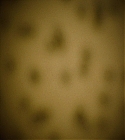 Filename=04306.jpg
Filesize=167KiB
Dimensions=1920x1080
Date added=Mar 24, 2022 04306.jpg