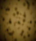 Filename=04364.jpg
Filesize=162KiB
Dimensions=1920x1080
Date added=Mar 24, 2022 04364.jpg