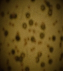 Filename=04365.jpg
Filesize=172KiB
Dimensions=1920x1080
Date added=Mar 24, 2022 04365.jpg