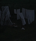 07346.jpg