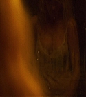 05571.jpg