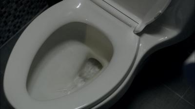 02586.jpg