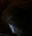 Filename=00452.jpg
Filesize=19KiB
Dimensions=1280x720
Date added=Jan 04, 2018 00452.jpg