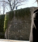 01893.jpg