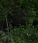 Filename=03506.jpg
Filesize=184KiB
Dimensions=1920x1080
Date added=Feb 07, 2018 03506.jpg