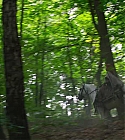 Filename=04073.jpg
Filesize=241KiB
Dimensions=1920x1080
Date added=Feb 08, 2018 04073.jpg