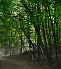 Filename=04087.jpg
Filesize=294KiB
Dimensions=1920x1080
Date added=Feb 08, 2018 04087.jpg