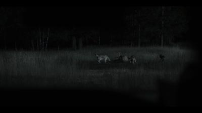 01541.jpg