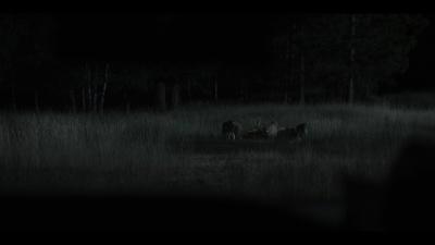 01556.jpg