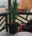 Filename=01173.jpg
Filesize=467KiB
Dimensions=1920x1080
Date added=Dec 29, 2019 01173.jpg