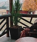 Filename=01174.jpg
Filesize=475KiB
Dimensions=1920x1080
Date added=Dec 29, 2019 01174.jpg