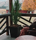 Filename=01175.jpg
Filesize=464KiB
Dimensions=1920x1080
Date added=Dec 29, 2019 01175.jpg