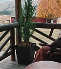Filename=01176.jpg
Filesize=469KiB
Dimensions=1920x1080
Date added=Dec 29, 2019 01176.jpg
