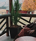 Filename=01179.jpg
Filesize=468KiB
Dimensions=1920x1080
Date added=Dec 29, 2019 01179.jpg